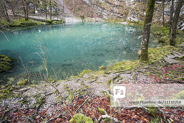 Slowenien  Naturpark Zgornja Idrijca  Der See Divje Jezero oder Wilder See ist eine Karstquelle des Vauclusian-Typs.
