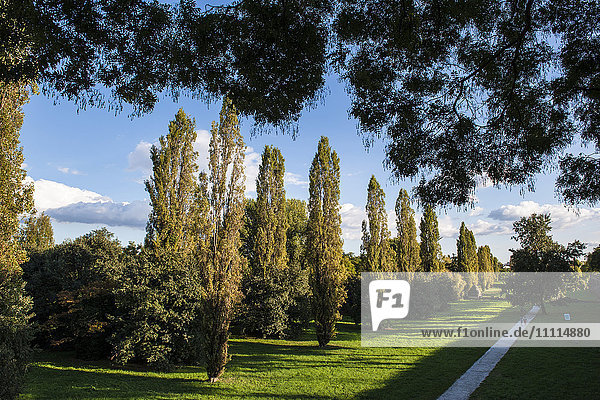 Italy  Emilia Romagna  Ferrara  public garden