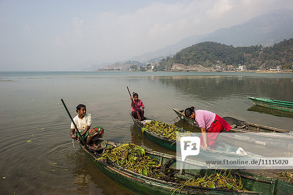 Nepal  Pokhara  lokaler See  Boote mit Frauen