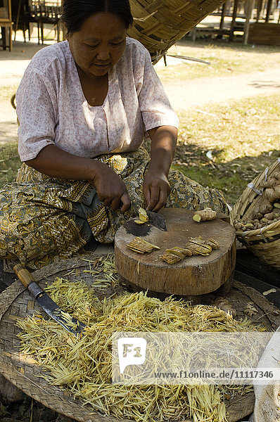 Asien  Myanmar  Taunggyi  Inle-See  Ingwerverarbeitung