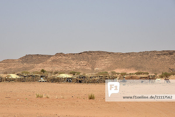 Africa  Sudan  nomad hut in the desert