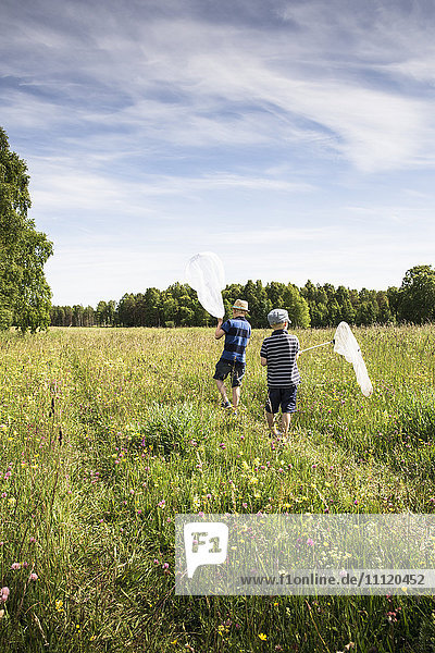 Sweden  Gotland  Boys (6-7  8-9) with butterfly nets in meadow with forest on horizon