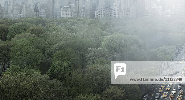 Stadtpark  Wolkenkratzer und Schnellstraße  New York  New York  Vereinigte Staaten