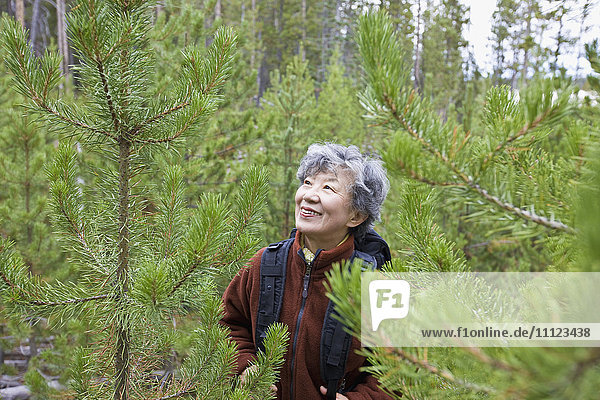 Ältere Japanerin beim Wandern im Wald