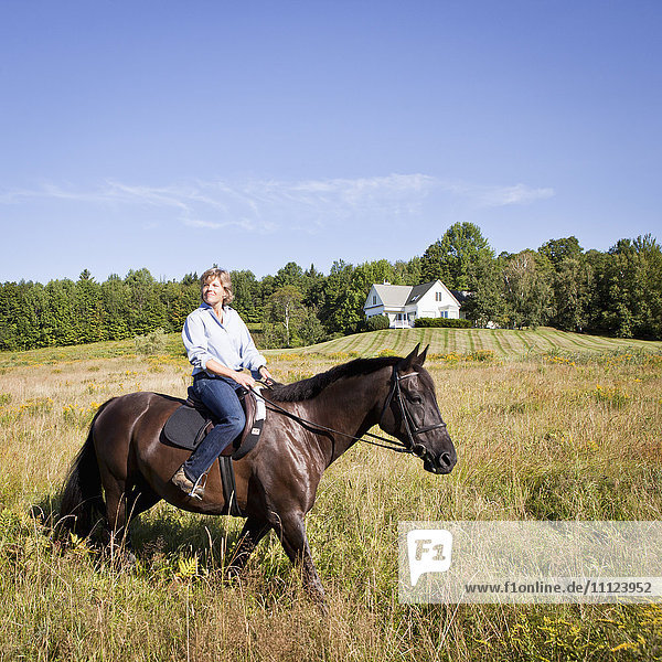 Kaukasische Frau reitet auf einem Pferd im Feld