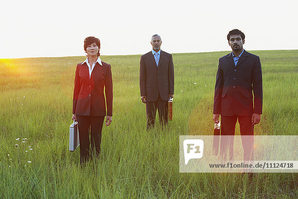 Three businesspeople standing in field