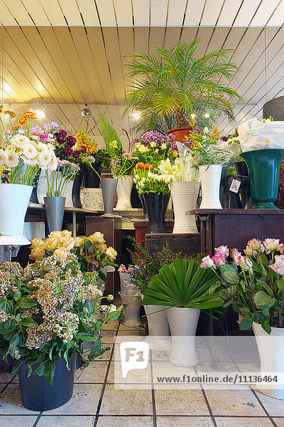 A small florists workshop with vases of fresh cut flowers