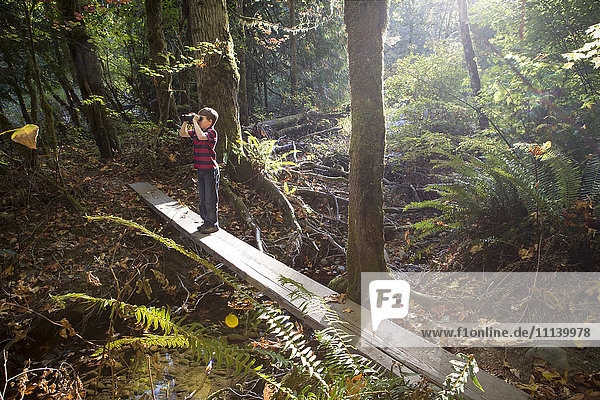 Kaukasischer Junge auf Brücke mit Fernglas im Wald
