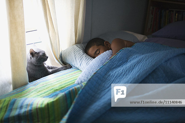 Mixed race boy sleeping in bed with cat