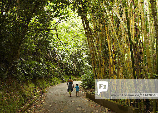 Gemischtrassige Mutter und Kind gehen auf der Straße im Dschungel