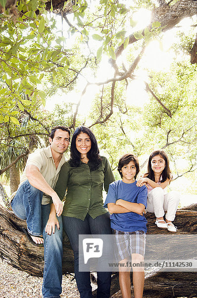 Mixed race family sitting on large tree branch