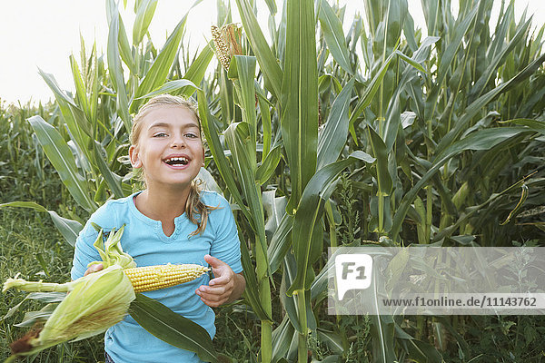 Kaukasisches Mädchen isst Mais auf einem Feld