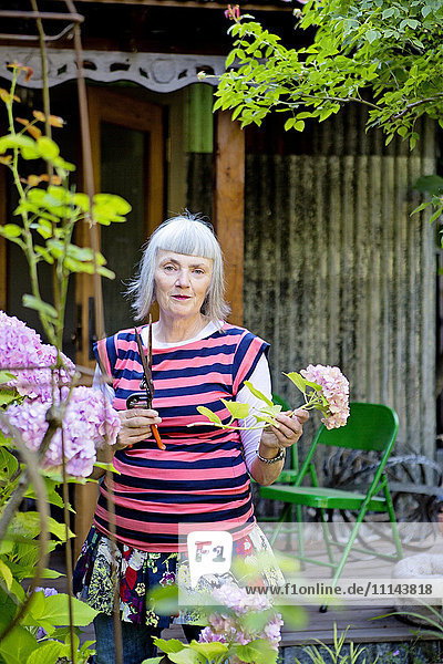 Older Caucasian woman gardening in backyard