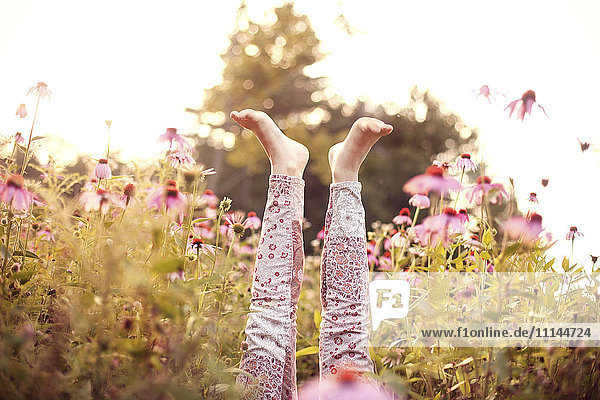 Beine eines Mädchens ragen in Wildblumen