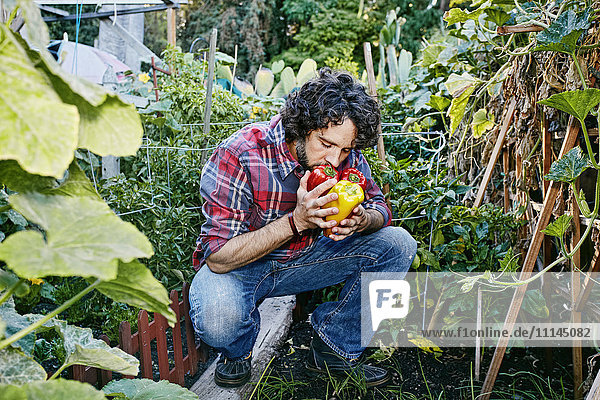Caucasian man smelling peppers in garden