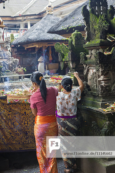 Women preparing Hindu celebration  Ubud  Bali  Indonesia