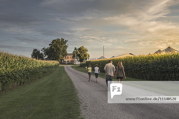 Caucasian family walking on dirt path by corn field