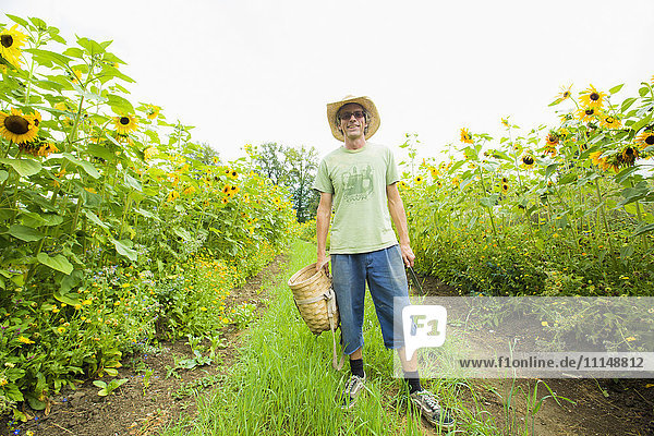 Caucasian farmer standing in rows of sunflowers