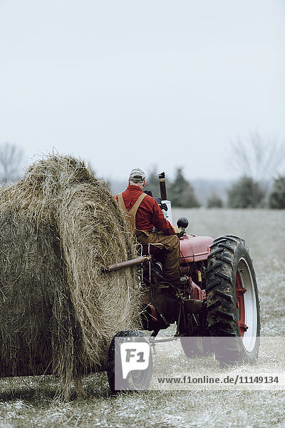 Caucasian farmer driving tractor in field