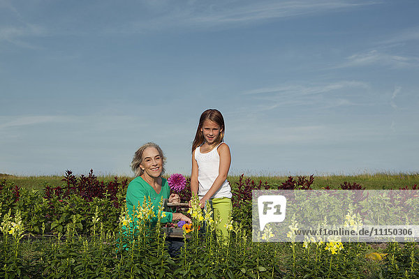 Kaukasische Großmutter und Enkelin pflücken Blumen auf dem Bauernhof