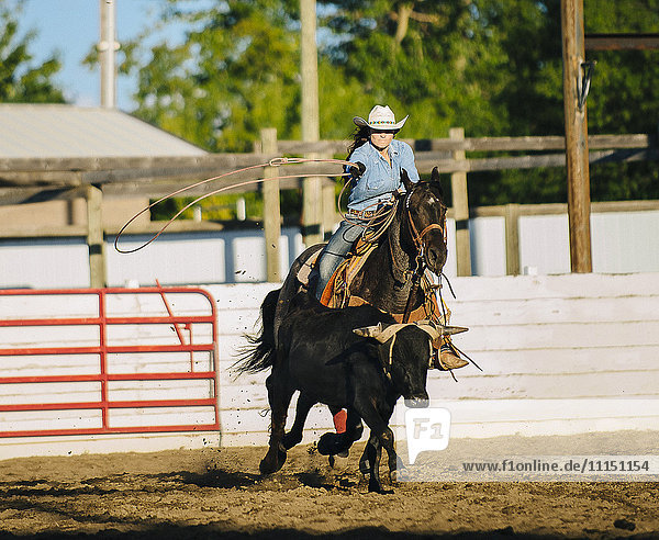 Kaukasisches Cowgirl auf einem Pferd  das beim Rodeo auf einer Ranch das Lasso wirft