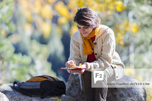 Gemischtrassige Frau liest Tagebuch auf einem Felsen