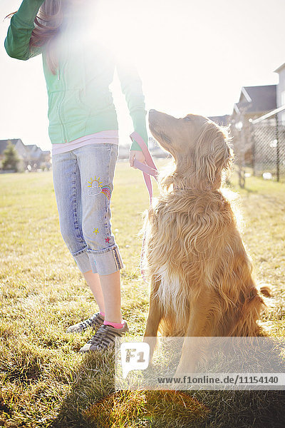 Kaukasisches Mädchen geht mit Hund im Feld spazieren