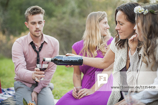 Freunde trinken Wein beim Picknick im Park