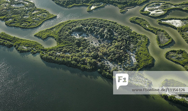 USA  Florida  Luftaufnahme von Mangroven und Sandbänken entlang der Westküste von Tampa Bay