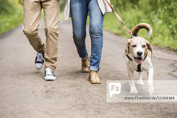 Couple on a walk with dog in nature  partial view