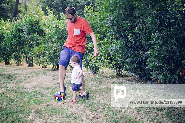 Father playing soccer with his little son on a meadow