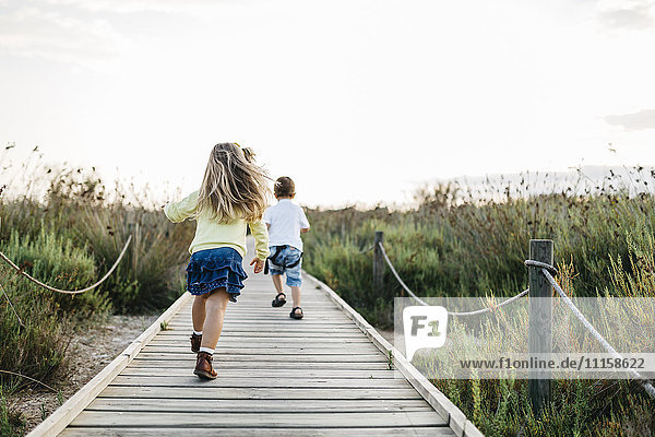 Back view of two little children playing together on boardwalk in nature