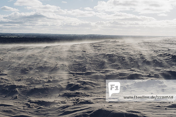 Denmark  North Jutland  sand drifts in wandering dune at lighthouse Rubjerg Knude