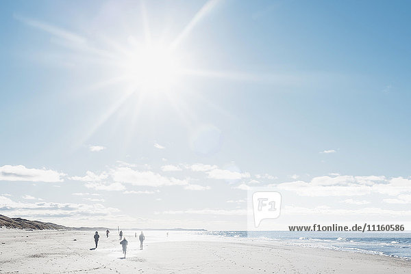 Dänemark,  Hirtshals,  Leute,  die im Gegenlicht am Strand spazieren gehen