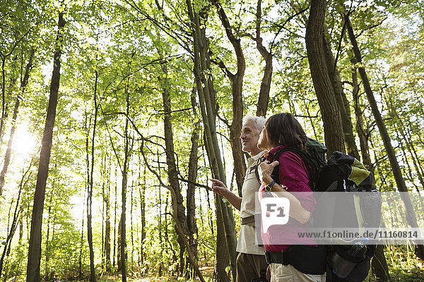Seniorenpaar beim Wandern im Wald