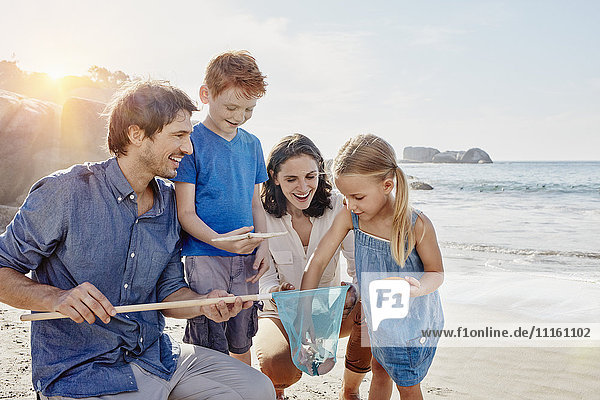 Glückliche Familie mit Dip-Netz am Strand