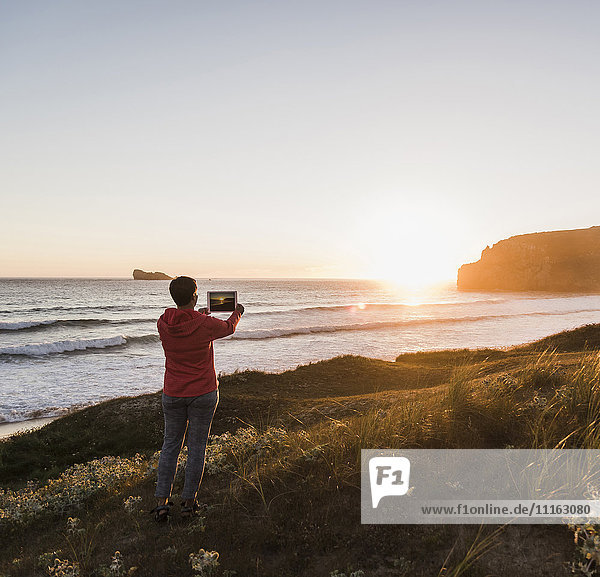 France  Bretagne  Crozon peninsula  woman at the coast at sunset taking picture with tablet