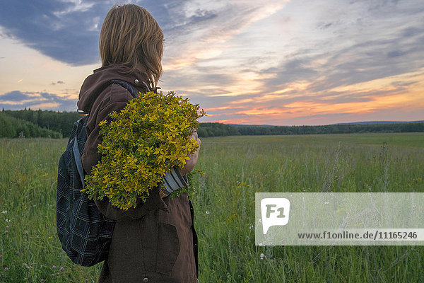 Kaukasische Frau hält Blumenstrauß in einem Feld bei Sonnenuntergang