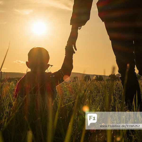 Woman and son holding hands in field at sunset