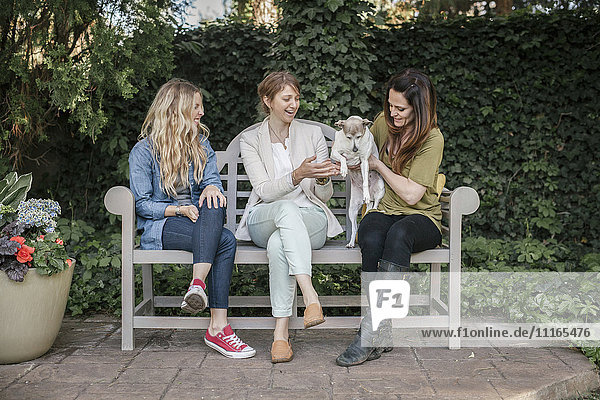 Drei Frauen sitzen auf einer Bank in einem Garten  ein Hund auf ihrem Schoß.