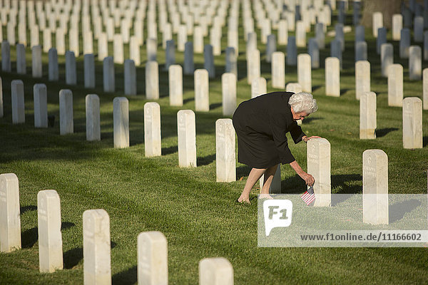 Caucasian widow placing American flag at cemetery gravestone