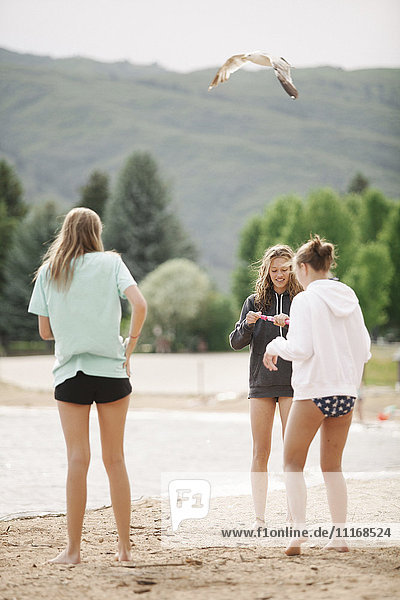 Teenage girls standing on a sandy beach by a lake.