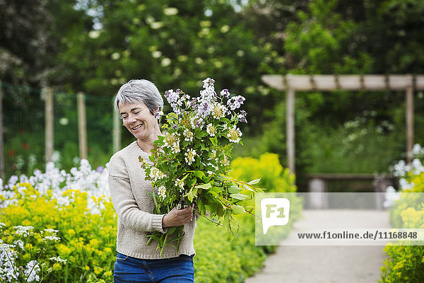Ein Florist wählt Blumen und Pflanzen aus dem Garten aus  um ein Arrangement zu gestalten. Organischer Garten.