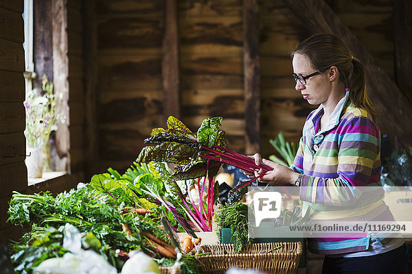 Eine Frau  die in einem Hofladen mit biologischen Produkten handelt.