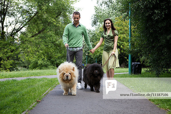 Young couple walking with pet dogs