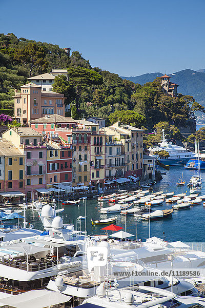 Portofino  Riviera di Levante  Liguria  Italy