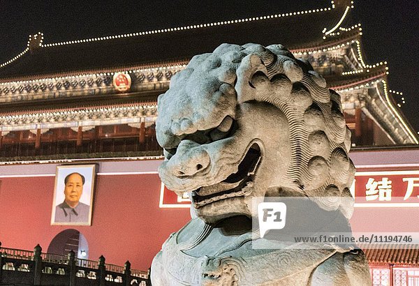 Löwenstatue bei Nacht  Tiananmen-Platz  Peking  China