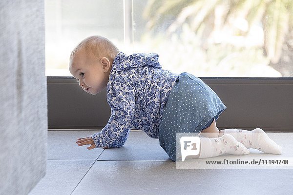 Close-up of a baby girl crawling on the floor