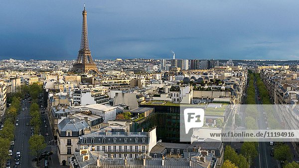 Stadtbild und Eiffelturm  Paris  Frankreich