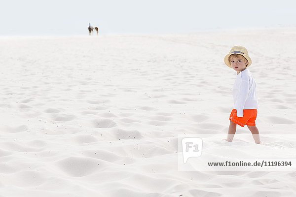 Baby boy standing on the beach